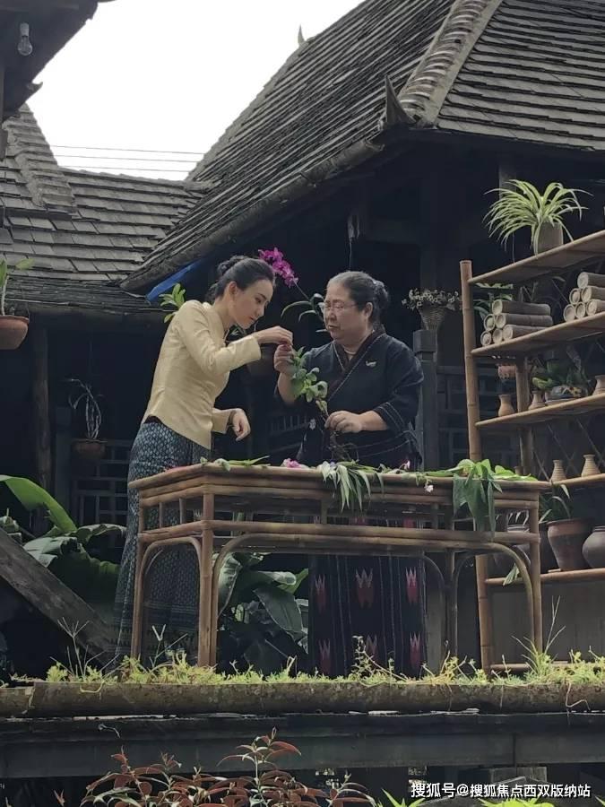 hahabet棋牌登录